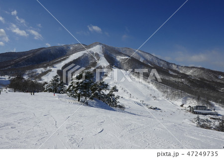 斑尾高原スキー場 斑尾山(1) 47249735