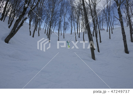 斑尾高原スキー場の森林コース(パウダーウェーブ2) 47249737