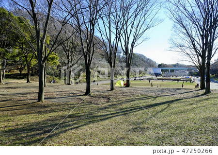 横浜　青葉区　子どもの国　公園 47250266