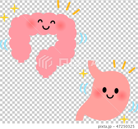 Healthy gastrointestinal character 47250325