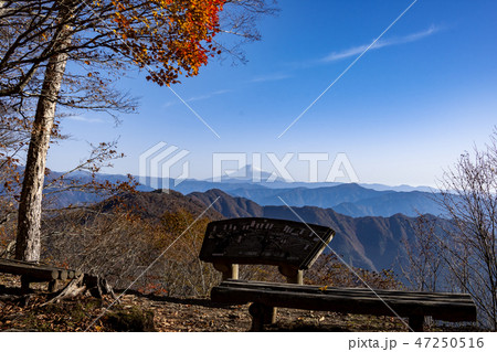 蕎麦粒山山頂からの富士 蕎麦粒山山頂からの富士 47250516