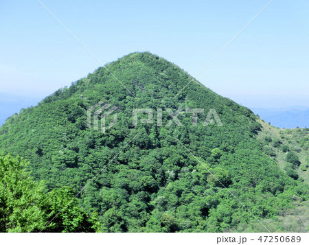 島根県の孫三瓶(山) 島根県の孫三瓶(山) 47250689