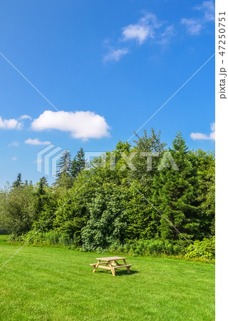 Picnic area with wooden table on green lawn in a park Picnic area with wooden table on green lawn in a park 47250751
