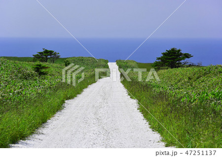 宗谷丘陵から海へ続く白い道　北海道 47251137