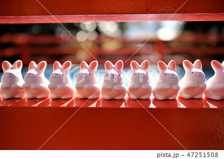岡崎神社 岡崎神社 47251508
