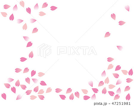 桜吹雪　Cherry blossom petals 47251981