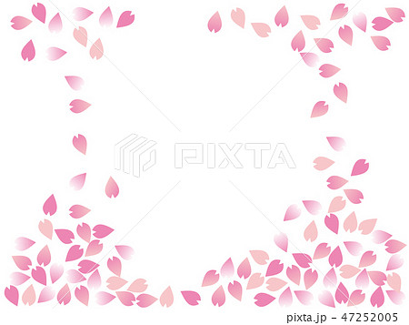 桜吹雪　Cherry blossom petals 47252005