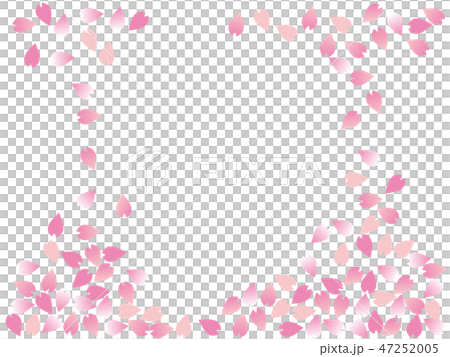 桜吹雪　Cherry blossom petals 47252005