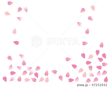 桜吹雪　Cherry blossom petals 47252032