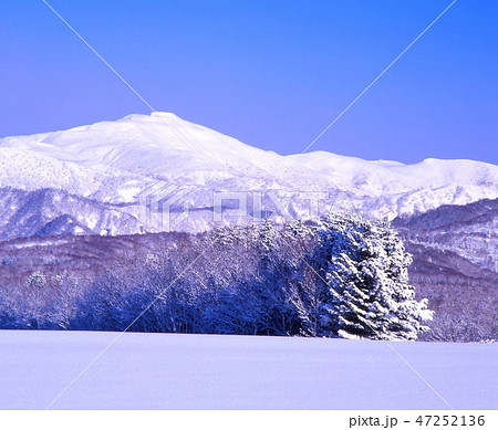 北海道せたな町小倉山でかりばやまの冬景色を撮影 47252136