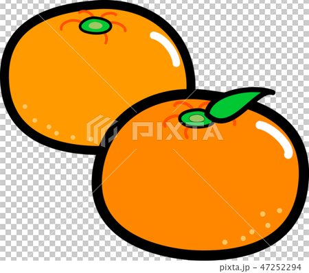 2個橘子黑色邊緣 47252294