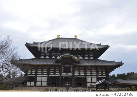 東大寺 大仏殿(奈良県奈良市雑司町) 東大寺 大仏殿(奈良県奈良市雑司町) 47252436