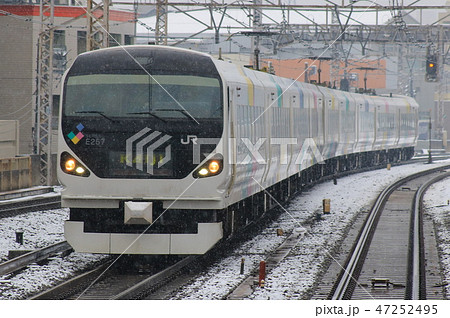 JR東日本 E257系特急型電車 JR東日本 E257系特急型電車 47252495