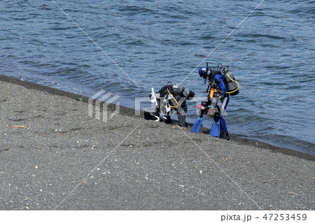 大瀬岬のスキューバダイバー 47253459
