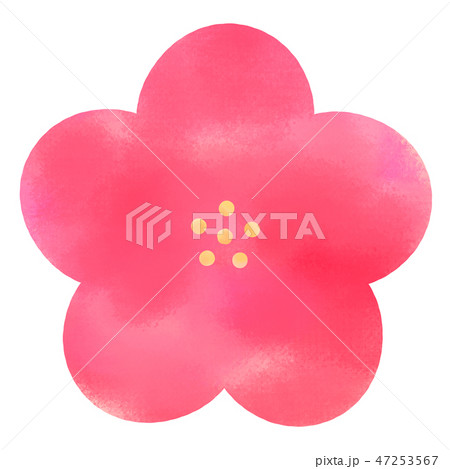 梅の花_02 梅の花_02 47253567