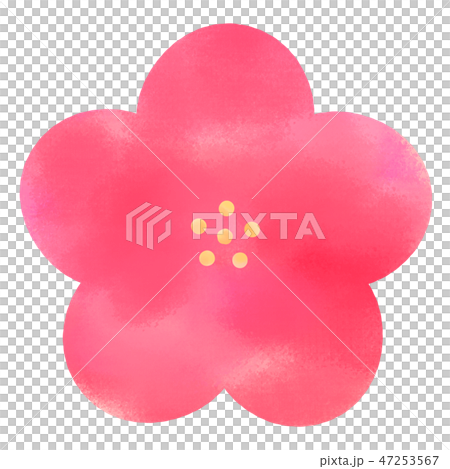 梅の花_02 梅の花_02 47253567