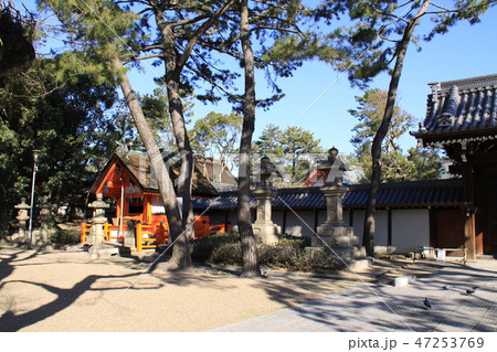 船玉神社 船玉神社 47253769