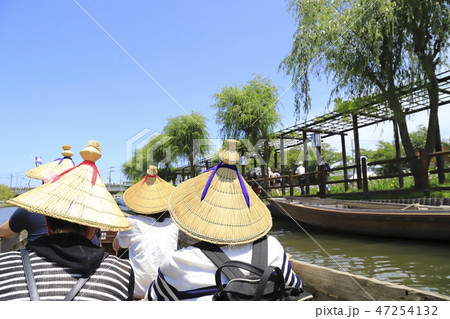 水郷潮来あやめ園　茨城県潮来市  47254132