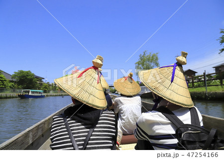 水郷潮来あやめ園　茨城県潮来市 47254166