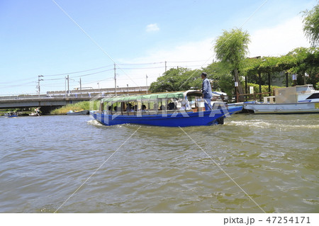 水郷潮来あやめ園 茨城県潮来市 水郷潮来あやめ園 茨城県潮来市 47254171
