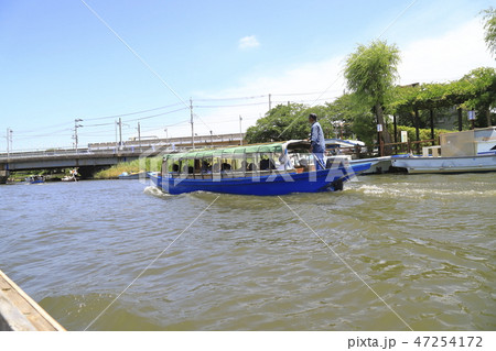 水郷潮来あやめ園 茨城県潮来市 水郷潮来あやめ園 茨城県潮来市 47254172