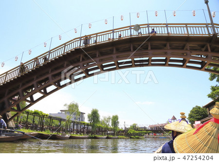 水郷潮来あやめ園　茨城県潮来市 47254204