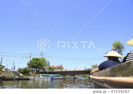 水郷潮来あやめ園 茨城県潮来市 水郷潮来あやめ園 茨城県潮来市 47254207