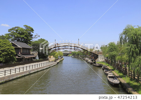 水郷潮来あやめ園　茨城県潮来市 47254213