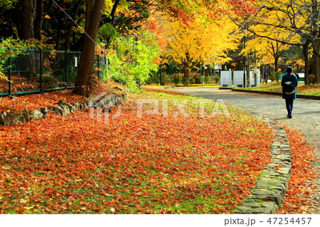 札幌、中島公園の紅葉の風景 札幌、中島公園の紅葉の風景 47254457