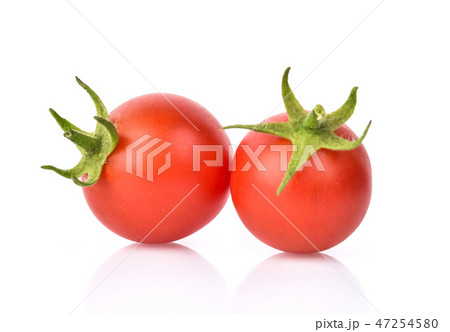 Tomatoes isolated on white background Tomatoes isolated on white background 47254580