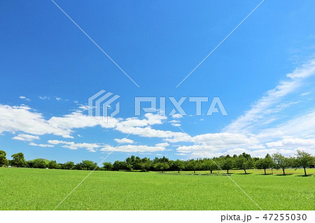 爽やかな青空の公園 47255030
