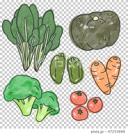 緑黄色野菜のイラスト素材