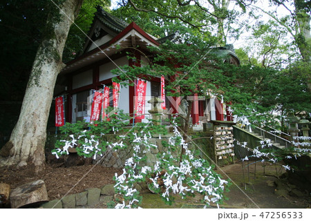 伊東 葛見神社 伊東 葛見神社 47256533