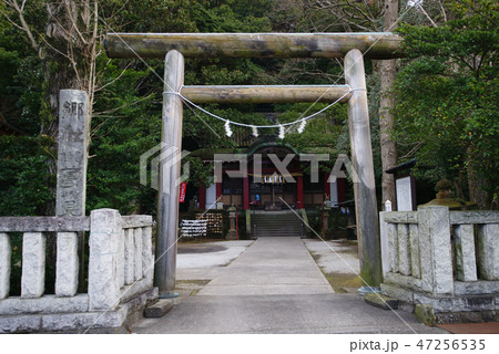 伊東 葛見神社 伊東 葛見神社 47256535