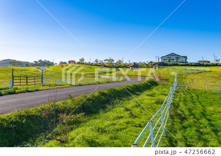 栗駒高原紅葉の牧場とフェンスに囲まれた放牧場 47256662