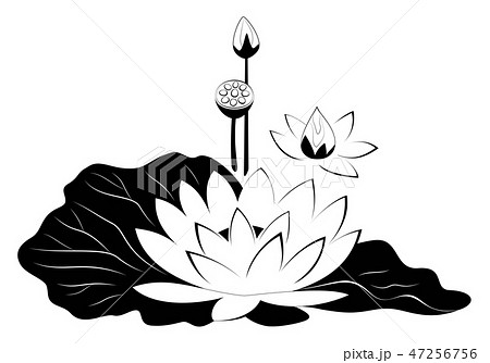 Lotus Flower With Leaves Black Silhouette Stock Illustration