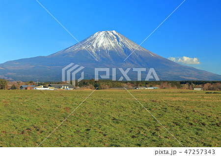 【静岡県】朝霧高原の富士山 47257343