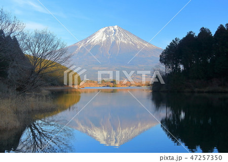 【静岡県】田貫湖の逆さ富士 47257350