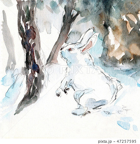 うさぎのイラスト素材