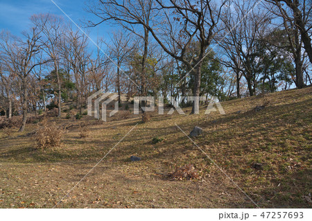 【大鳥塚古墳】 大阪府藤井寺市古室２ 47257693