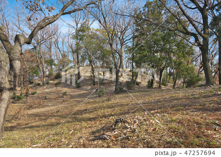【大鳥塚古墳】 大阪府藤井寺市古室２ 47257694