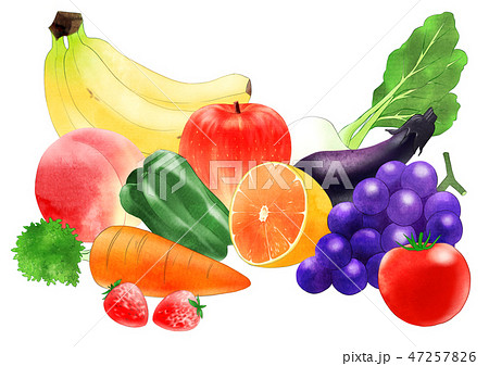 野菜果物のイラスト素材