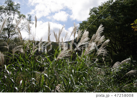 戸倉山 戸倉山 47258008