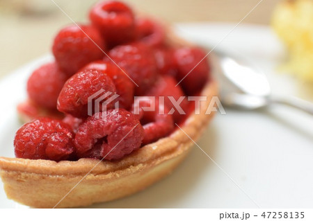 フルーツタルト 47258135