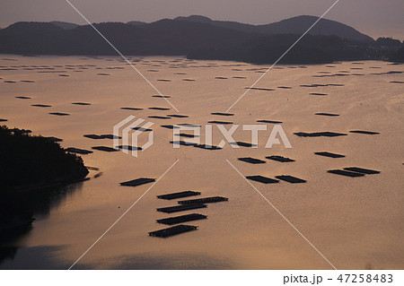 虫明の牡蠣筏   【岡山県瀬戸内市】  47258483