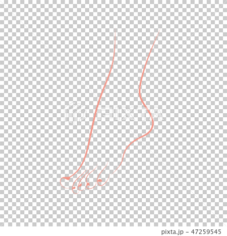 Foot parts Foot parts 47259545