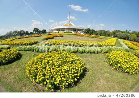 タイ王国ラマ9世公園（King Rama IX Park in Thailand） 47260386