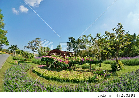 タイ王国ラマ9世公園（King Rama IX Park in Thailand） 47260391