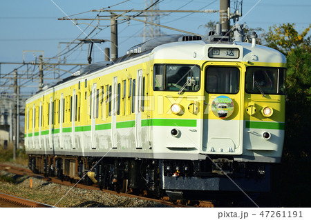弥彦色115系の団体専用列車 47261191