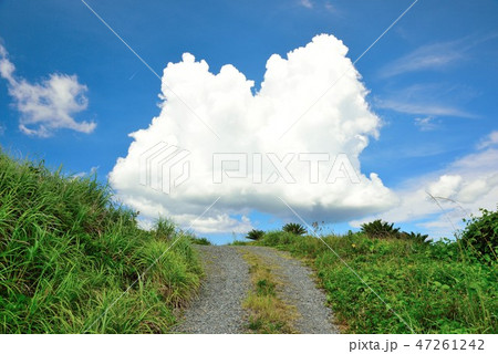 夏のイメージ～空　6 47261242
